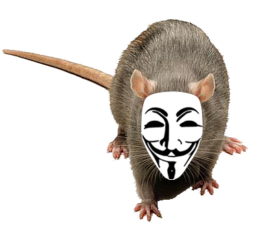 Rat / Patkány