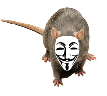 Rat / Patkány