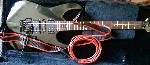 Ibanez Gio with case