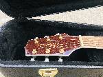 Takamine IMG 6305