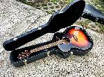 Takamine IMG 6307